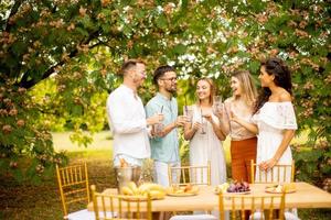 gruppe glücklicher junger leute, die mit frischer limonade jubeln und früchte im garten essen foto