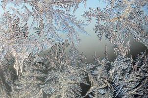 Schneeflocken Frost Raureif Makro auf Fensterglasscheibe foto