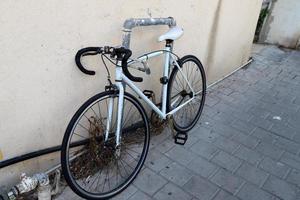 Fahrrad im Stadtpark am Meer. foto