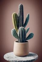 beige Keramiktopf mit Sukkulenten, Kaktus auf Natursteinpodest. Studio foto
