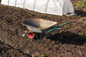 Gartenschubkarre, die im Garten auf dem Boden steht foto