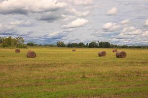 der Heuballen, der auf dem Feld gegen den Himmel liegt foto