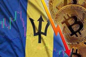 Barbados-Flagge und fallender Trend der Kryptowährung mit vielen goldenen Bitcoins foto