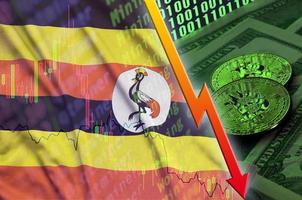 uganda-flagge und kryptowährung fallender trend mit zwei bitcoins auf dollarnoten und binärcodeanzeige foto