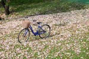 Vintage Fahrrad auf grünem Rasen mit Herbstlaub foto