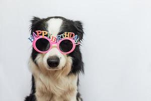alles gute zum geburtstag partykonzept. lustiger süßer Welpe Hund Border Collie mit dummen Geburtstagsbrillen isoliert auf weißem Hintergrund. Hund am Geburtstag. foto