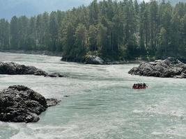 menschen auf einem katamaran raften den fluss katun, altai, russland hinunter foto