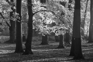 Herbstzeit auf einem deutschen Schloss foto