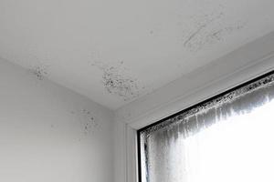 die Feuchtigkeit greift die Wand an. Schimmel am Fenster. Hausfenster mit Feuchtigkeit und Kondenswasser foto