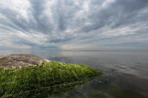 Steine an der Küste der Ostsee bei Sonnenuntergang foto