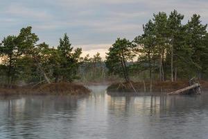 Frühling in den Sumpfseen foto