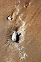 Muster im Strandsand foto