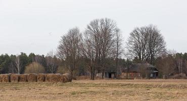 Überschwemmte Wiesen im Frühjahr foto