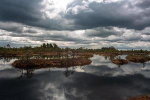 Frühling in den Sumpfseen foto