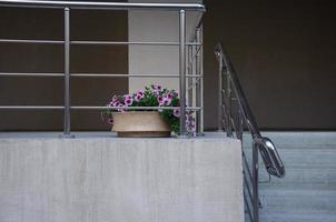 Straßenblumen im Blumenbeet, Dekoration von Straßen, Häusern foto