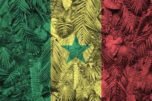 Senegal-Flagge auf vielen Blättern von Monstera-Palmen. trendige modische Kulisse foto