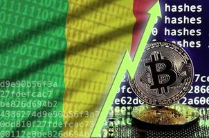 mali-flagge und steigender grüner pfeil auf dem bitcoin-mining-bildschirm und zwei physische goldene bitcoins foto