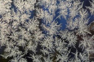 Schneeflocken Frost Raureif Makro auf Fensterglasscheibe foto