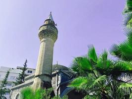 Kirchturm. Moschee im tropischen Land. seltene, grüne Pflanzen in einem heißen Land. Palmen mit langen, grünen Blättern vor blauem Himmel foto