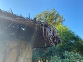 Naturtradition Strohsonnenschirm aus Daunen als Hintergrund foto