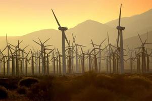 Windenergie bei Sonnenuntergang, die von diesen Windmühlen erzeugt wird, versorgt Palm Springs, Kalifornien, mit Strom.