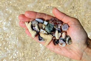 reise nach insel koh larn, thailand. eine hand mit verschiedenen muscheln und steinen auf dem seestrandhintergrund bei sonnigem sommerwetter. foto