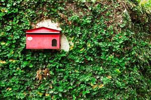 Alter schäbiger roter Briefkasten an einer Wand mit grünen Blättern. Chiang Mai, Thailand. foto