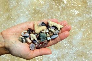 reise nach insel koh larn, thailand. eine hand mit verschiedenen muscheln und steinen auf dem seestrandhintergrund bei sonnigem sommerwetter. foto