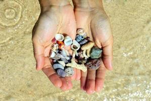 reise nach insel koh larn, thailand. zwei hände mit verschiedenen muscheln und steinen auf dem seestrandhintergrund bei sonnigem sommerwetter. foto