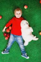 lächelnder kleiner Junge drei Jahre alt, der mit weißem Samojedenwelpen auf grünem Gras mit roten Äpfeln im Studio liegt foto