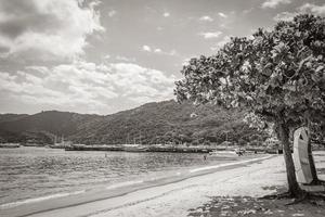 die große tropische insel ilha grande abraao beach brasilien. foto