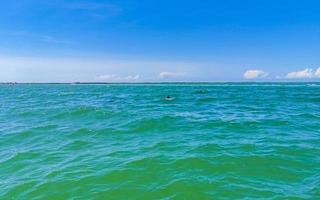 Delfine schwimmen im Wasser vor der Insel Holbox in Mexiko. foto