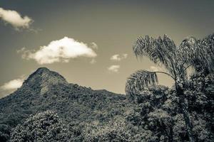 abraao berg pico do papagaio mit wolken ilha grande brasilien. foto