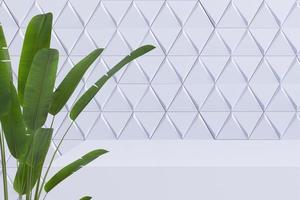 Podiumsanzeige mit tropischen Pflanzen auf abstraktem Hintergrund foto