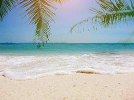 Palmblätter und tropischer Strand im Sonnenuntergang foto