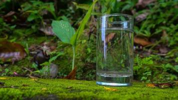 Gläser mit Wasser auf grünem Pflanzenhintergrund foto