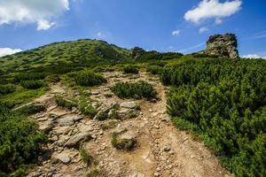 Sommerlandschaft in den Bergen foto