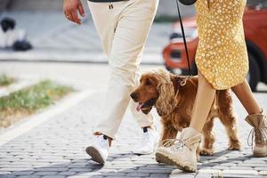 Partikelansicht eines schönen Paares, das zusammen mit einem Hund im Freien in der Nähe des Autos spazieren geht foto