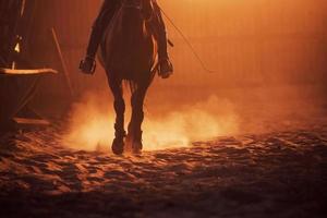 majestätisches bild der pferdesilhouette mit reiter auf sonnenuntergangshintergrund foto