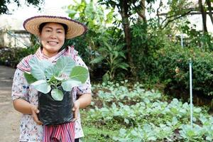 Potrait der asiatischen Gärtnerin trägt Hut, hält Sämlingsbeutel mit Gemüse, um in ihrem Garten zu wachsen. Konzept, Gartenarbeit. Anbau von Bio-Gemüse im Hinterhof. Freizeitbeschäftigung. foto