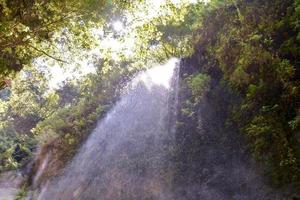 Blick auf den Regenwald foto