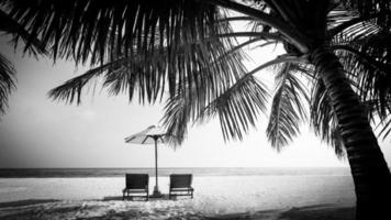 perfekte Schwarz-Weiß-Strandszene. sonnenuntergang, sonnenaufgang silhouette der kokospalme mit sonnenliegen und regenschirm. abstrakter, künstlerischer Feiertags- und Sommerferienhintergrund foto