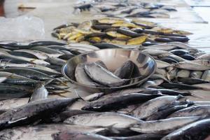 Selektiver Fokus auf den Fisch auf der Schuppenplatte, weicher Fokus foto