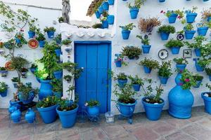 geschmücktes Haus mit blauen Vasen und Blumen. blaue Farbe. stilvolles Haus. foto