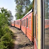 Spielzeugeisenbahn, die sich auf Berghängen bewegt, schöne Aussicht, ein Seitenberg, ein Seitental, das sich auf der Eisenbahn zum Hügel bewegt, inmitten grüner Naturwälder. spielzeugeisenbahn von kalka nach shimla in indien, indischer zug foto