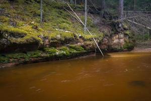 kleiner Waldfluss im frühen Frühling foto