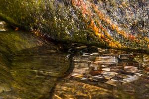 frühlingslandschaften auf der insel hiiumaa foto