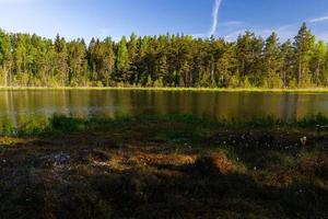 Landschaften aus der lettischen Landschaft im Frühling foto