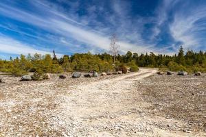 frühlingslandschaften auf der insel hiiumaa foto