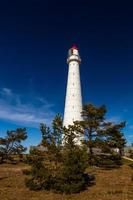 frühlingslandschaften auf der insel hiiumaa foto